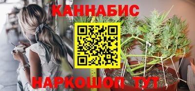 твердый Будённовск