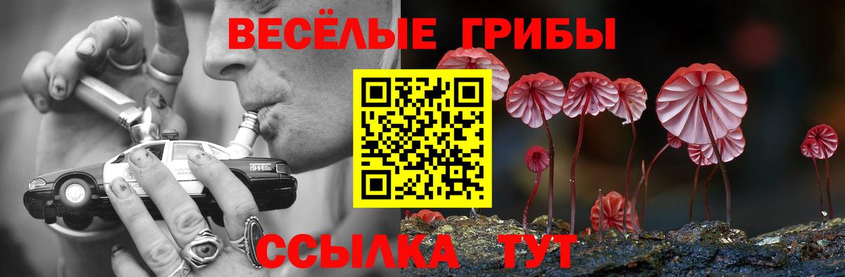 Галлюциногенные грибы Cubensis  как найти закладки  Вход с VPN  Красноярск  Псилоцибиновые грибы Cubensis 